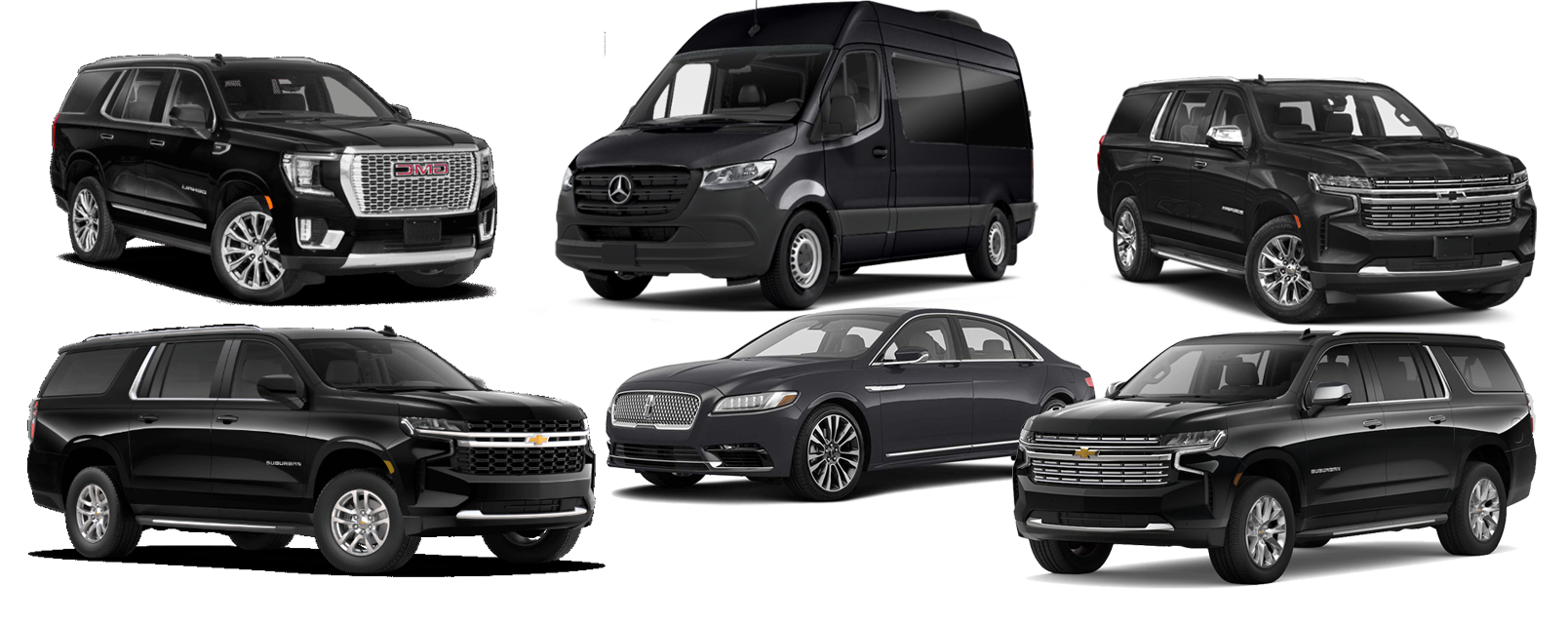 Alpha Wolf luxury limousine services in Colorado,limousine service in colorado,limousine service in colorado springs co, Home