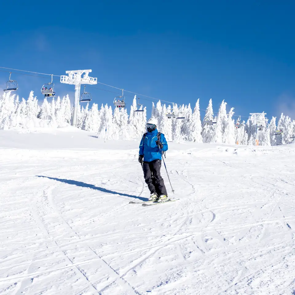 black car service from denver airport to breckenridge​